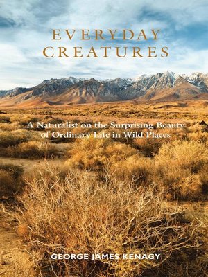 cover image of Everyday Creatures